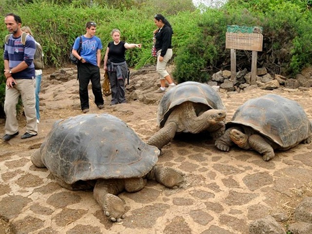 queen-of-galapagos-hotspotstours8